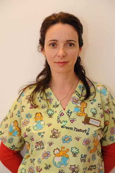 Dr. Soare Musat Andreea